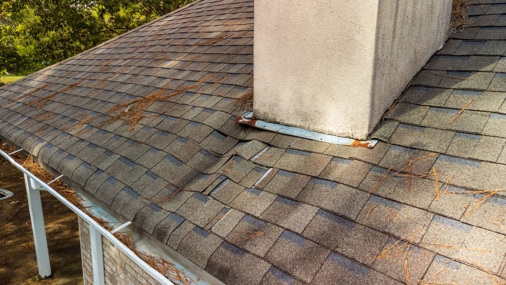roof